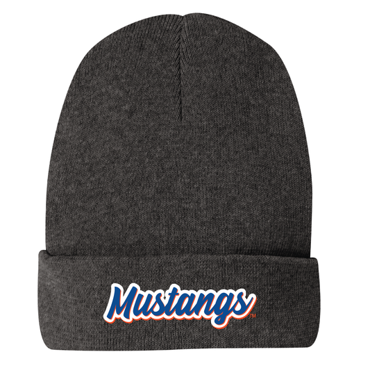 Mustangs Phin Charcoal Heather District Beanie