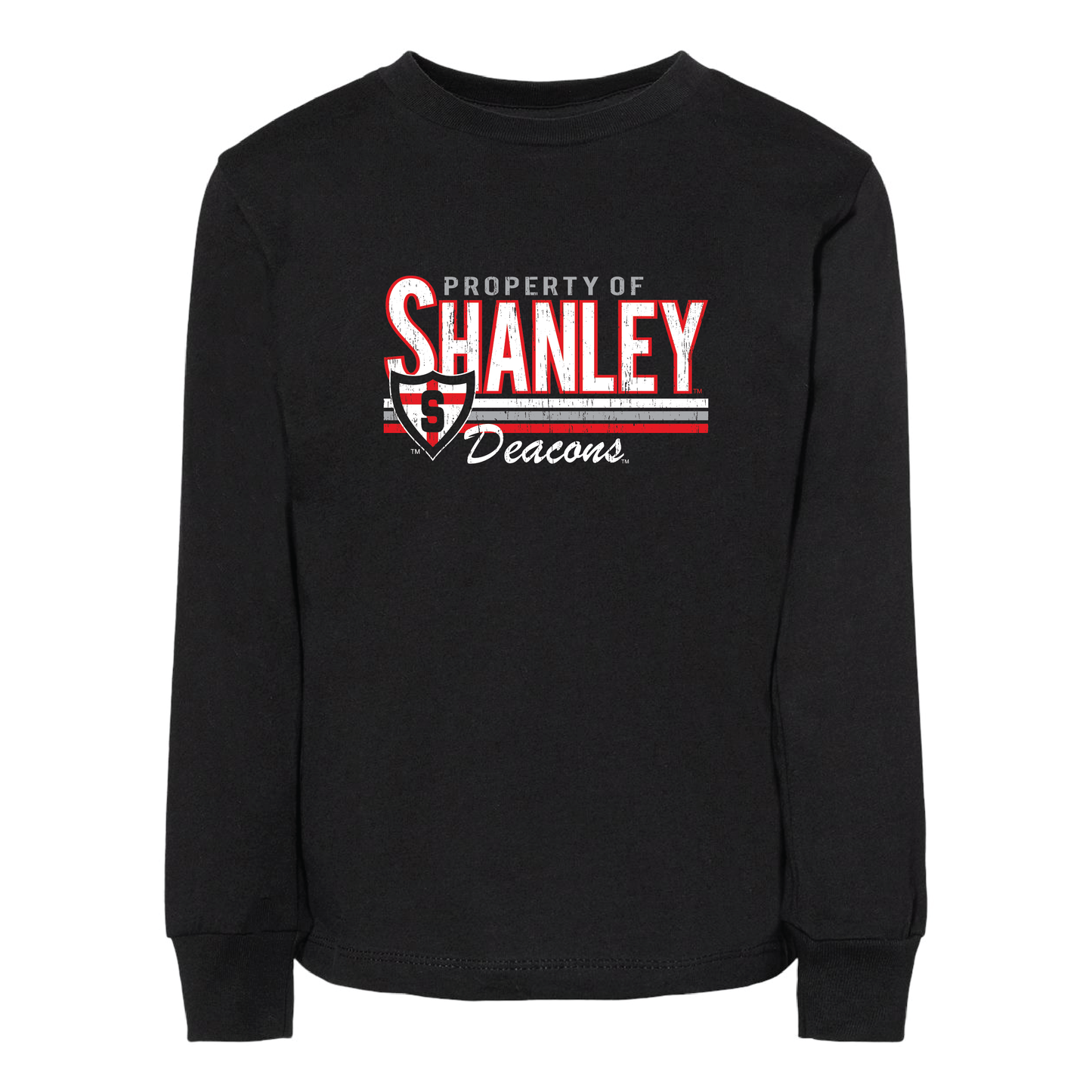 Shanley BELLA+CANVAS® Toddler Long Sleeve Tee (3501T)