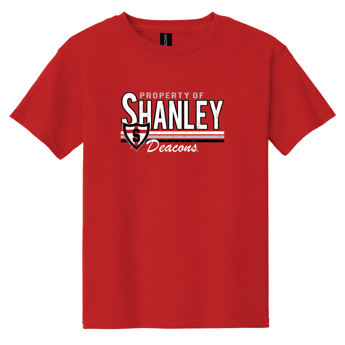 Shanley Gildan® Youth 100% Cotton T-Shirt (5000b)