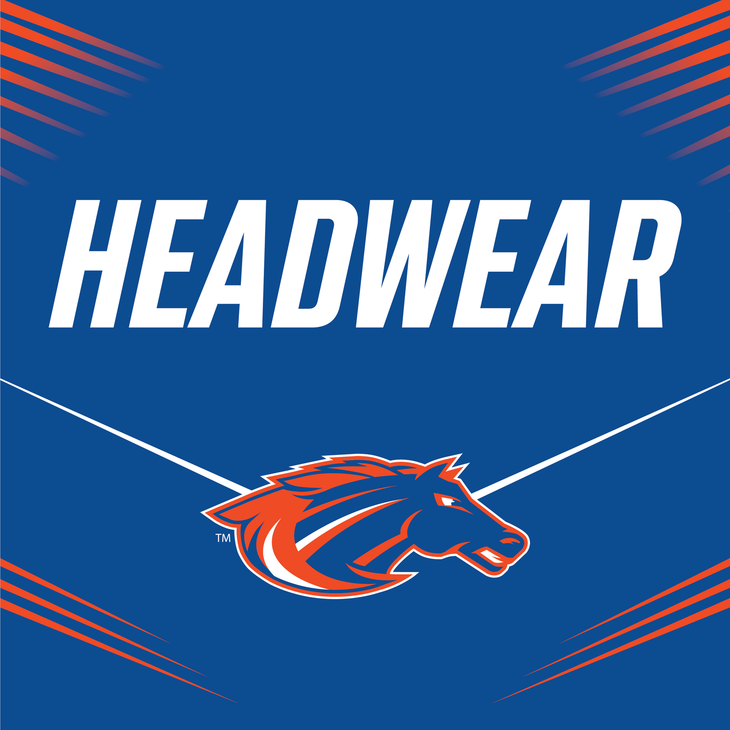 Mustangs Headwear