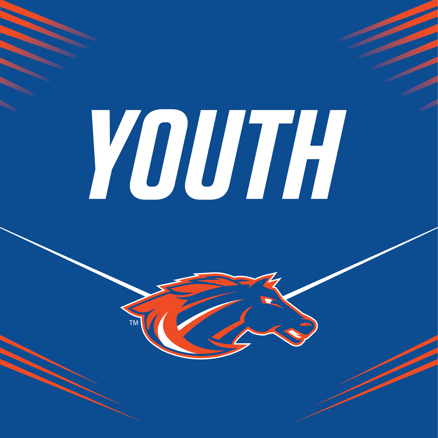 Mustangs Youth