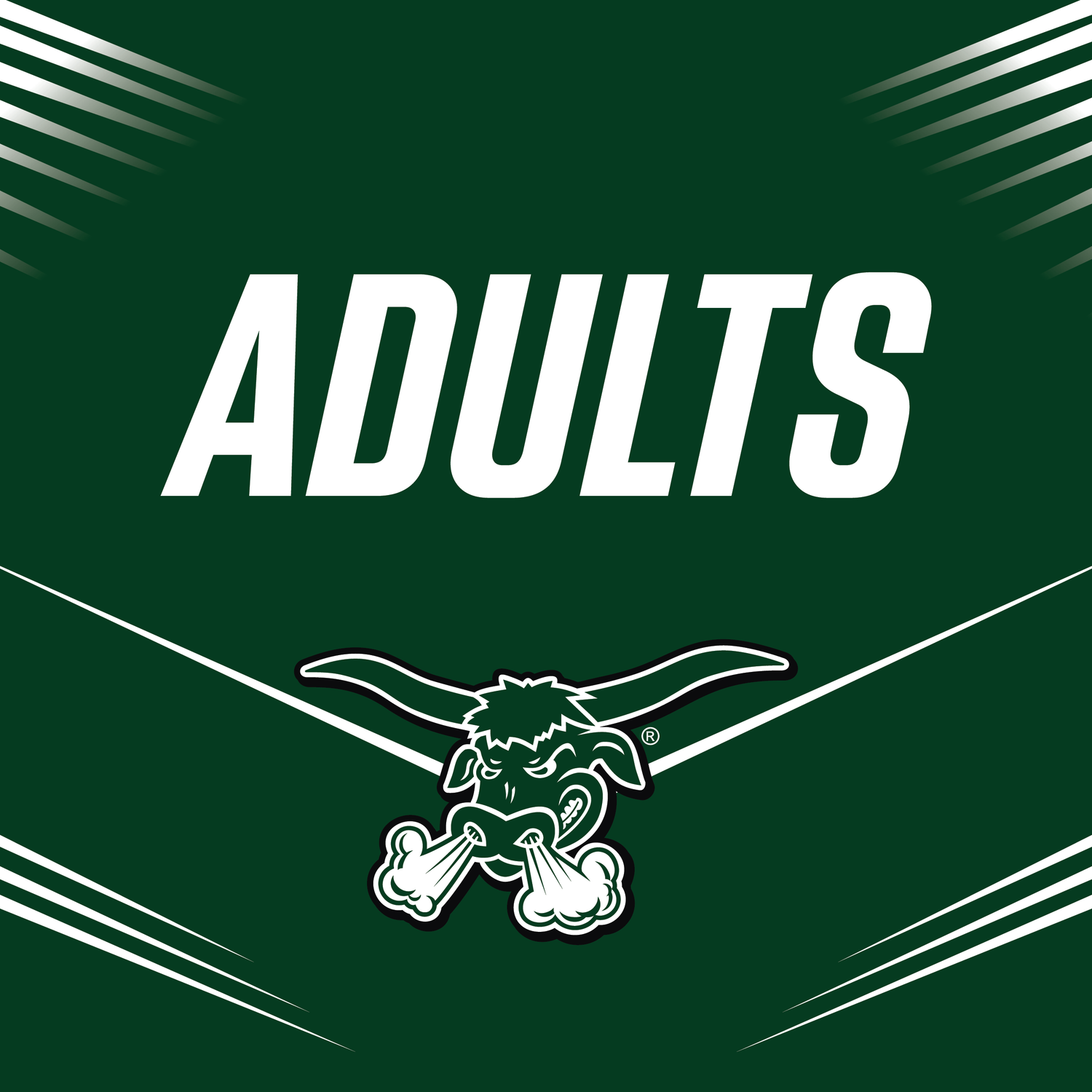 Packers Adult