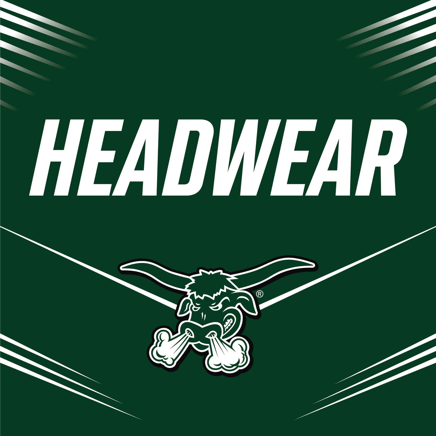 Packers Headwear