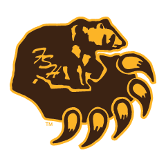 Fargo South Bruins