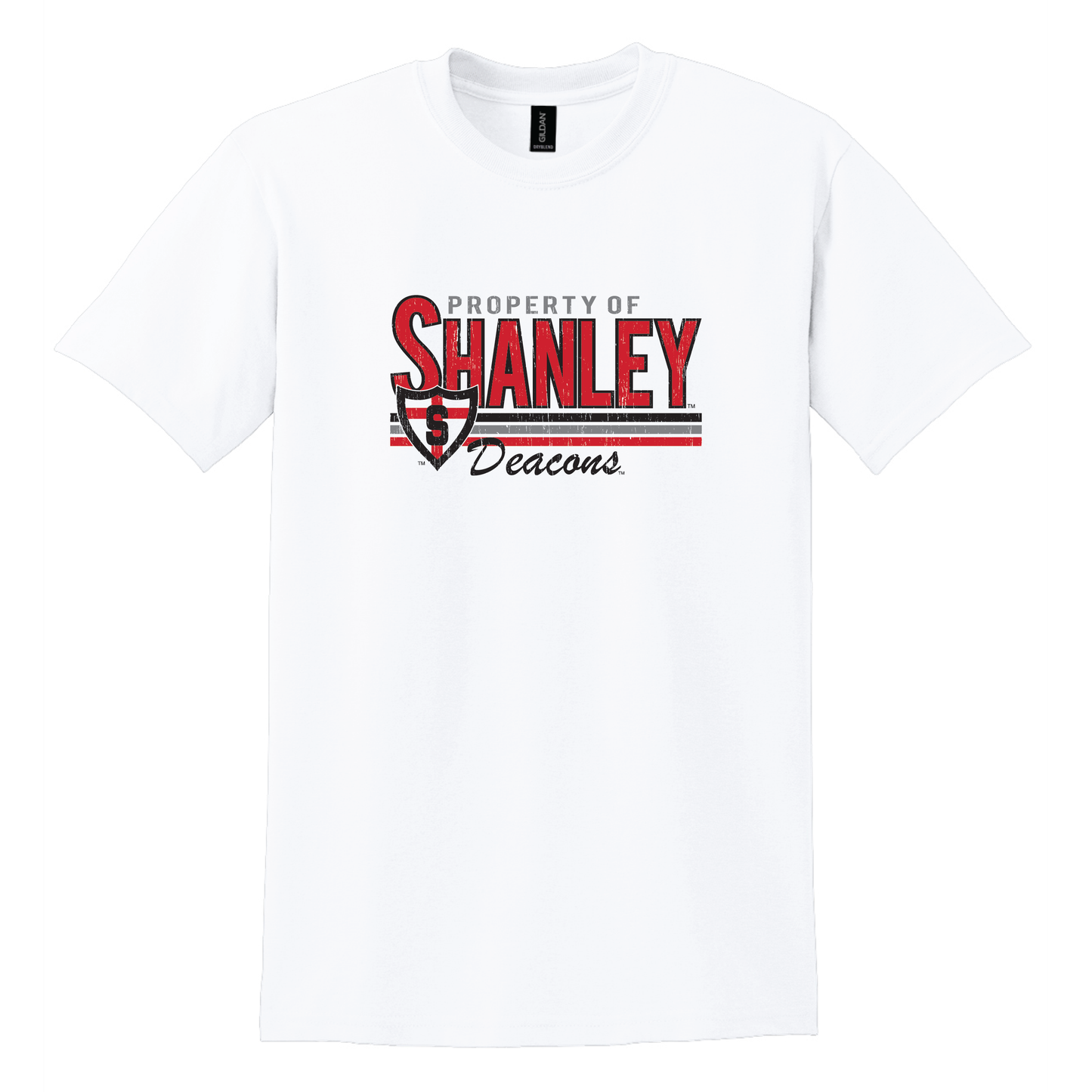 Shanley Gildan® DryBlend® 50 Cotton/50 Poly T-Shirt (8000)