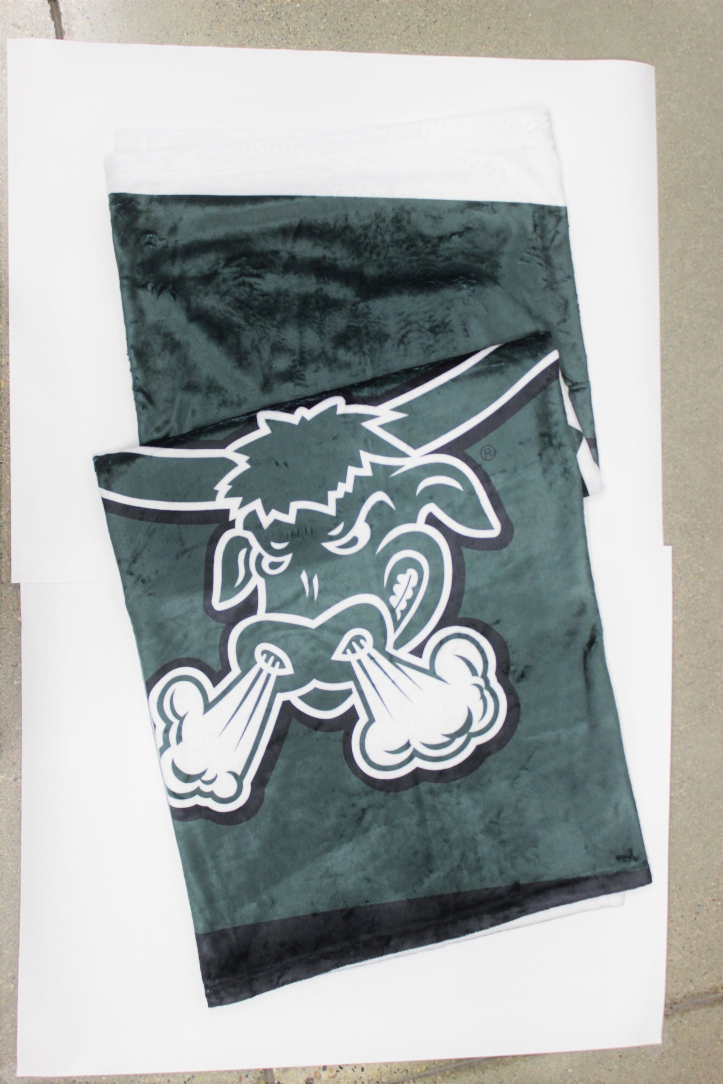 Packers Microfleece Throw Blanket