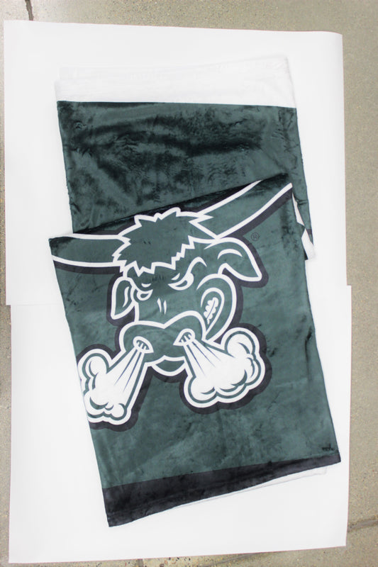 Packers Microfleece Throw Blanket