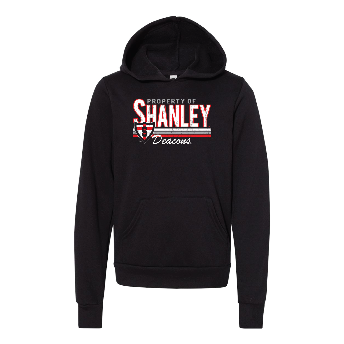 Shanley BELLA+CANVAS® Youth Sponge Fleece Hoodie (3719Y)
