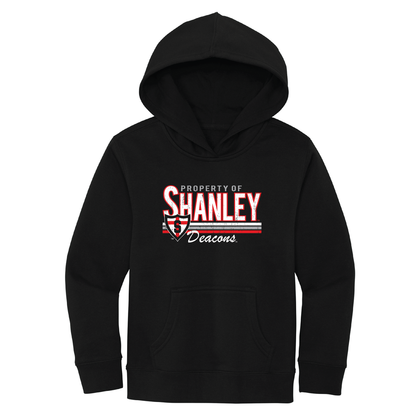 Shanley District® Youth V.I.T.™ Fleece Hoodie (DT6100Y)